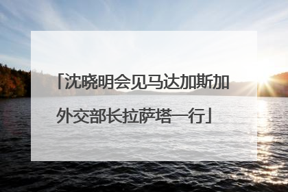 沈晓明会见马达加斯加外交部长拉萨塔一行