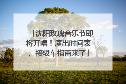 沈阳玫瑰音乐节即将开唱！演出时间表、接驳车指南来了