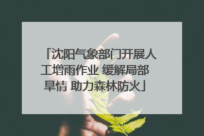 沈阳气象部门开展人工增雨作业 缓解局部旱情 助力森林防火