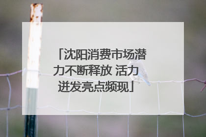 沈阳消费市场潜力不断释放 活力迸发亮点频现