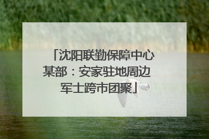 沈阳联勤保障中心某部：安家驻地周边 军士跨市团聚