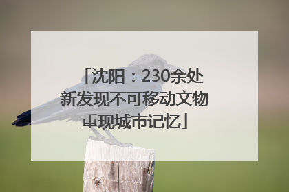 沈阳：230余处新发现不可移动文物重现城市记忆