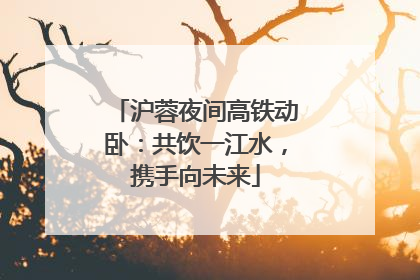 沪蓉夜间高铁动卧：共饮一江水，携手向未来