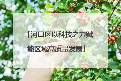 河口区以科技之力赋能区域高质量发展