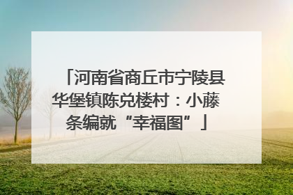 河南省商丘市宁陵县华堡镇陈兑楼村：小藤条编就“幸福图”