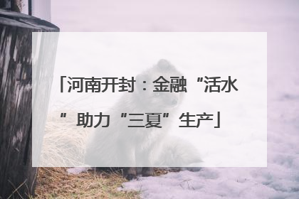 河南开封：金融“活水”助力“三夏”生产