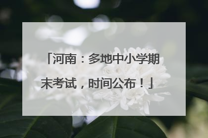 河南：多地中小学期末考试，时间公布！