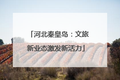 河北秦皇岛：文旅新业态激发新活力