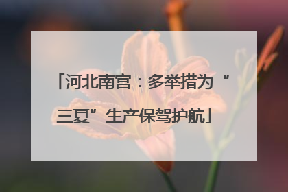 河北南宫：多举措为“三夏”生产保驾护航