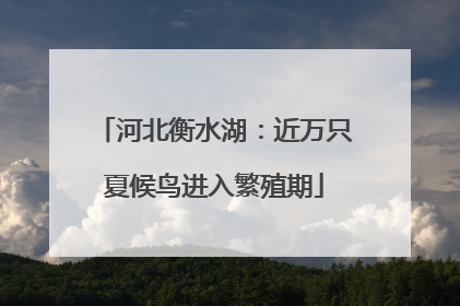 河北衡水湖：近万只夏候鸟进入繁殖期