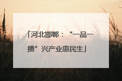 河北邯郸：“一品一播”兴产业惠民生