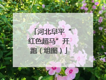 河北阜平“红色超马”开跑（组图）