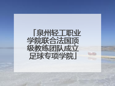泉州轻工职业学院联合法国顶级教练团队成立足球专项学院
