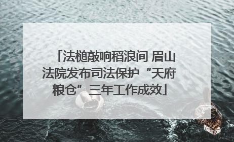 法槌敲响稻浪间 眉山法院发布司法保护“天府粮仓”三年工作成效