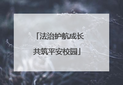 法治护航成长 共筑平安校园