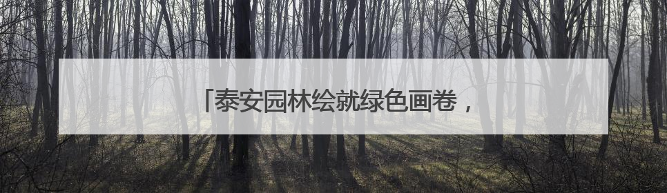 泰安园林绘就绿色画卷，精细防治护佑苗木成长