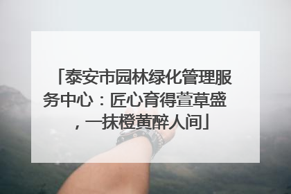 泰安市园林绿化管理服务中心：匠心育得萱草盛，一抹橙黄醉人间