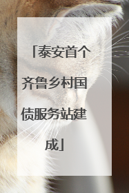 泰安首个齐鲁乡村国债服务站建成