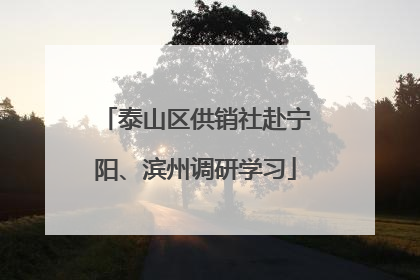 泰山区供销社赴宁阳、滨州调研学习