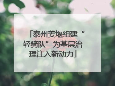 泰州姜堰组建“轻骑队”为基层治理注入新动力