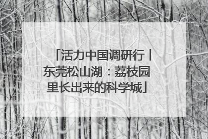 活力中国调研行丨东莞松山湖：荔枝园里长出来的科学城