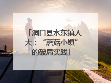 洞口县水东镇人大：“蘑菇小镇”的破局实践