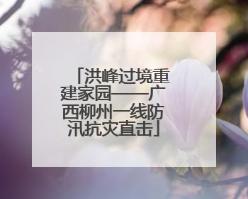 洪峰过境重建家园——广西柳州一线防汛抗灾直击