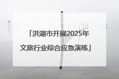 洪湖市开展2025年文旅行业综合应急演练