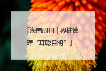 海南周刊｜界桩管理“耳聪目明”