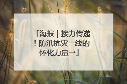 海报｜接力传递！防汛抗灾一线的怀化力量→