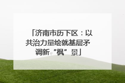 济南市历下区：以共治力量绘就基层矛调新“枫”景