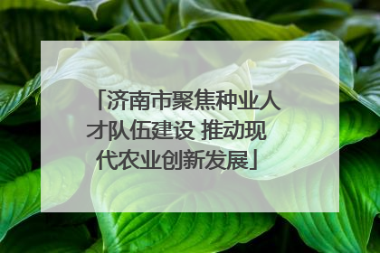 济南市聚焦种业人才队伍建设 推动现代农业创新发展