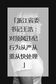 浙江省委书记王浩：对顶风违纪行为从严从重从快处理