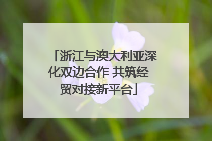 浙江与澳大利亚深化双边合作 共筑经贸对接新平台