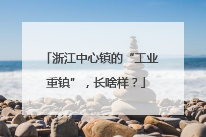 浙江中心镇的“工业重镇”，长啥样？