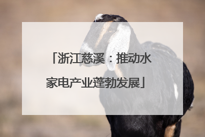 浙江慈溪：推动水家电产业蓬勃发展