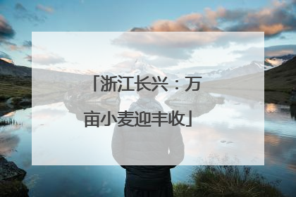浙江长兴：万亩小麦迎丰收
