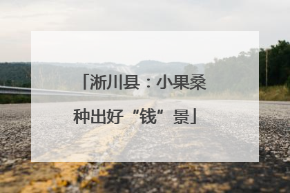 淅川县：小果桑种出好“钱”景