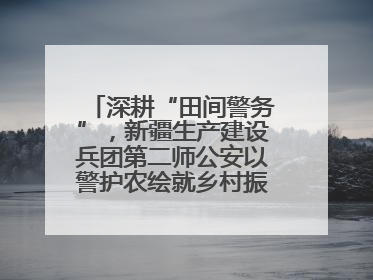 深耕“田间警务”，新疆生产建设兵团第二师公安以警护农绘就乡村振兴平安画卷