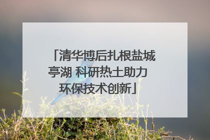 清华博后扎根盐城亭湖 科研热土助力环保技术创新