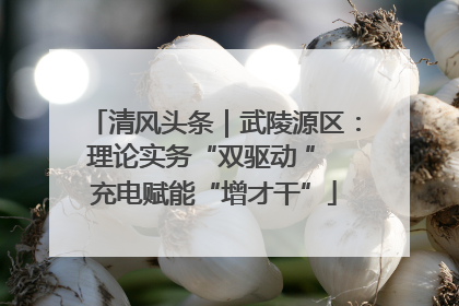 清风头条｜武陵源区：理论实务“双驱动 ” 充电赋能“增才干”