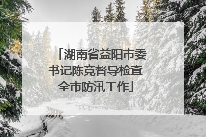 湖南省益阳市委书记陈竞督导检查全市防汛工作