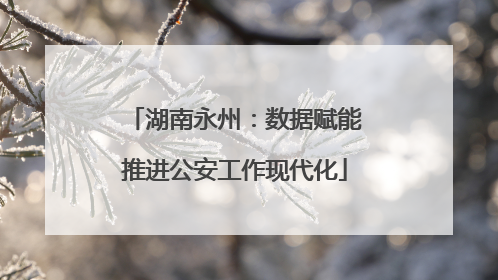 湖南永州：数据赋能推进公安工作现代化