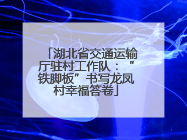 湖北省交通运输厅驻村工作队：“铁脚板”书写龙凤村幸福答卷