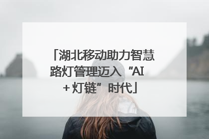湖北移动助力智慧路灯管理迈入“AI＋灯链”时代
