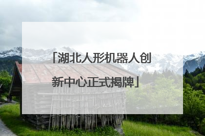 湖北人形机器人创新中心正式揭牌