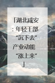 湖北咸安：年轻干部“沉下去” 产业动能“涨上来”