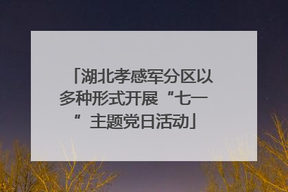湖北孝感军分区以多种形式开展“七一”主题党日活动
