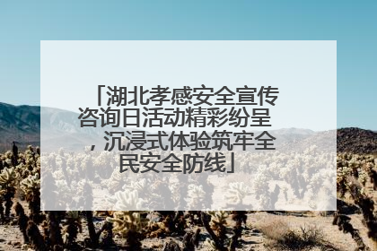 湖北孝感安全宣传咨询日活动精彩纷呈，沉浸式体验筑牢全民安全防线