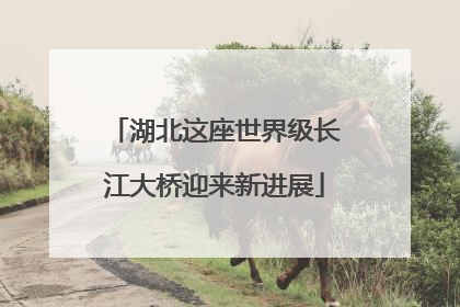 湖北这座世界级长江大桥迎来新进展